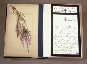 Carta da Rainha Vitória (1819-1901) para Tsarevich Nikolai Alexandrovich (1868-1918) 22 de abril de 1894